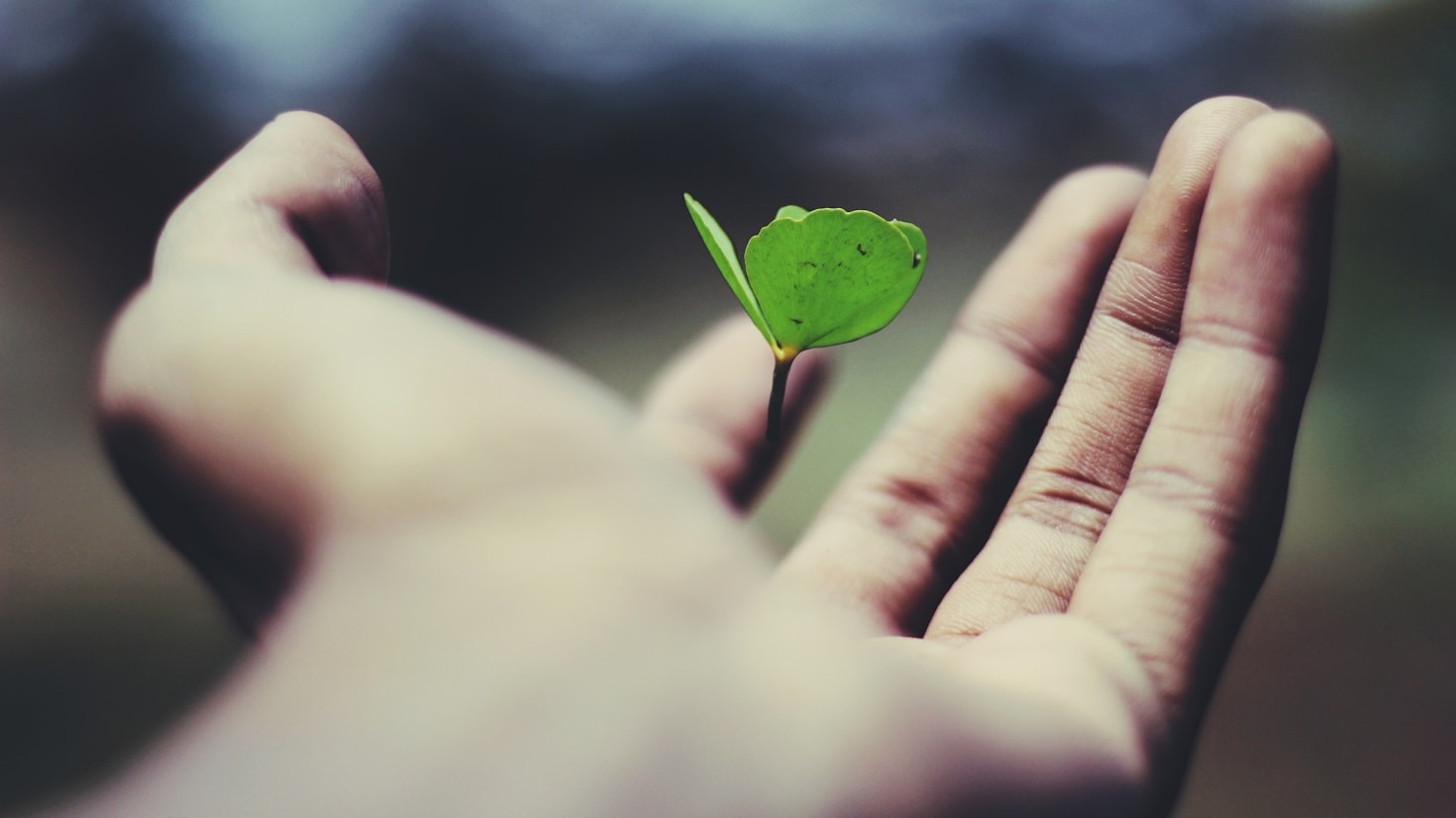 How Ubleeive Combines Finance and Community